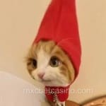 Avatar de Mauricio Calderón